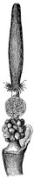 HPN055AT.TIF