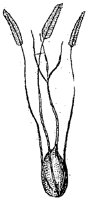 HPN055AP.TIF