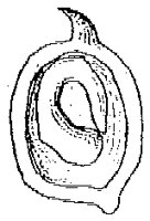 HPN055AG.TIF