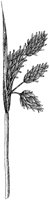 HPN055AA.TIF