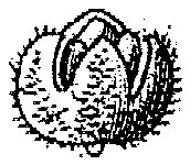 HPN054XA.TIF
