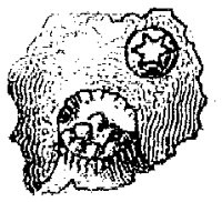 HPN054QA.TIF