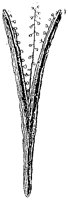 HPN054PC.TIF
