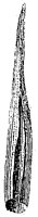 HPN054PA.TIF