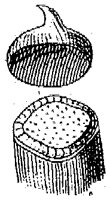 HPN054NH.TIF
