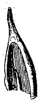 HPN054NF.TIF