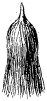 HPN054ND.TIF