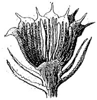 HPN054NC.TIF