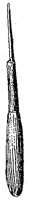 HPN054NB.TIF