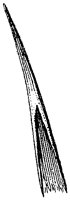 HPN054NA.TIF
