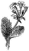 HPN054DC.TIF