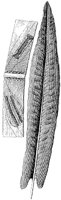 HPN054CD.TIF