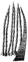 HPN054BU.TIF