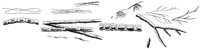HPN054BI.TIF