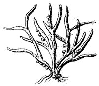 HPN054BG.TIF