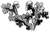 HPN054BA.TIF