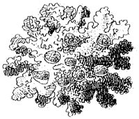HPN054AG.TIF