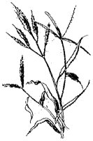 HPN054AB.TIF