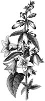HPN062CK.TIF