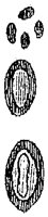 HPN062CH.TIF
