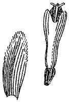 HPN062CG.TIF
