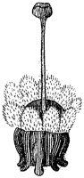 HPN062BL.TIF
