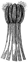 HPN062BG.TIF
