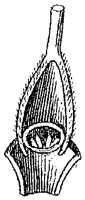 HPN062BC.TIF