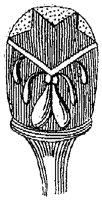 HPN062BA.TIF