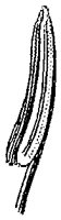 HPN062AN.TIF