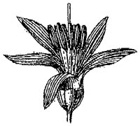 HPN062AH.TIF