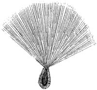 HPN062AG.TIF