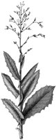 HPN062AA.TIF