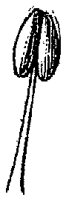 HPN061CH.TIF