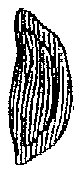 HPN061BU.TIF