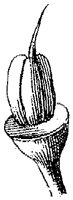 HPN061BQ.TIF