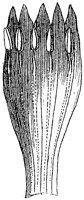 HPN061BJ.TIF