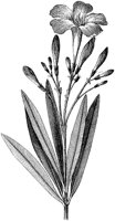 HPN061BI.TIF