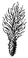 HPN061BG.TIF
