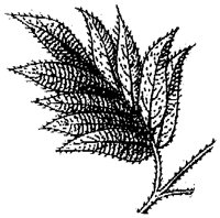 HPN061BC.TIF