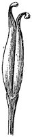 HPN061AH.TIF