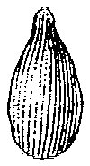 HPN061AG.TIF