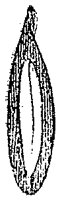 HPN060BZ.TIF