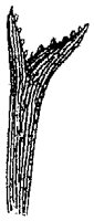 HPN060BT.TIF