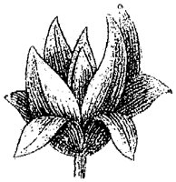 HPN060BO.TIF