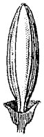 HPN060BH.TIF