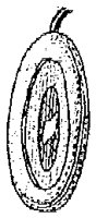HPN060BA.TIF