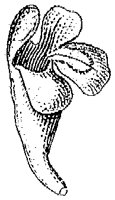 HPN060AZ.TIF