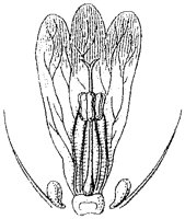 HPN060AG.TIF