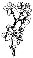 HPN060AE.TIF